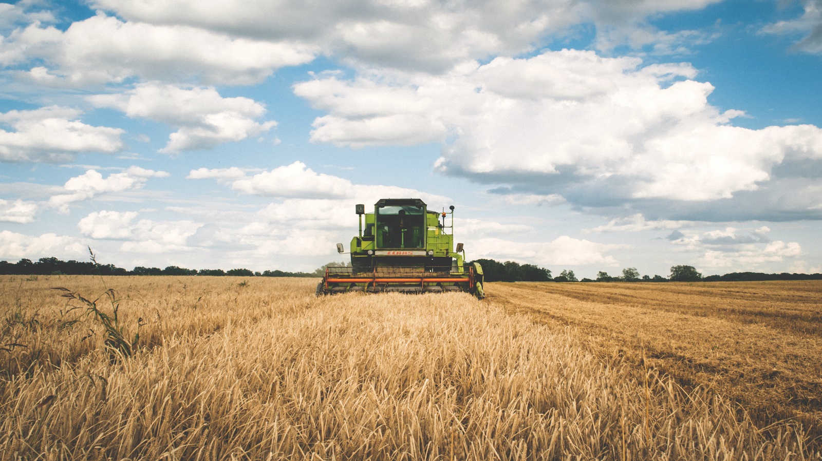 Agriculture Lands